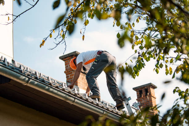 Best Emergency Roof Repair Services  in Willamina, OR