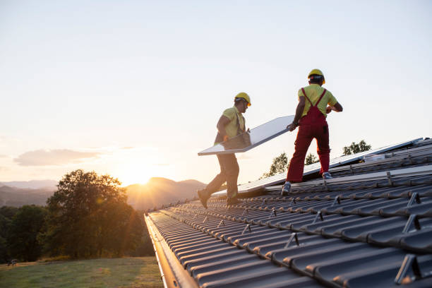 Best Roof Moss and Algae Removal  in Willamina, OR
